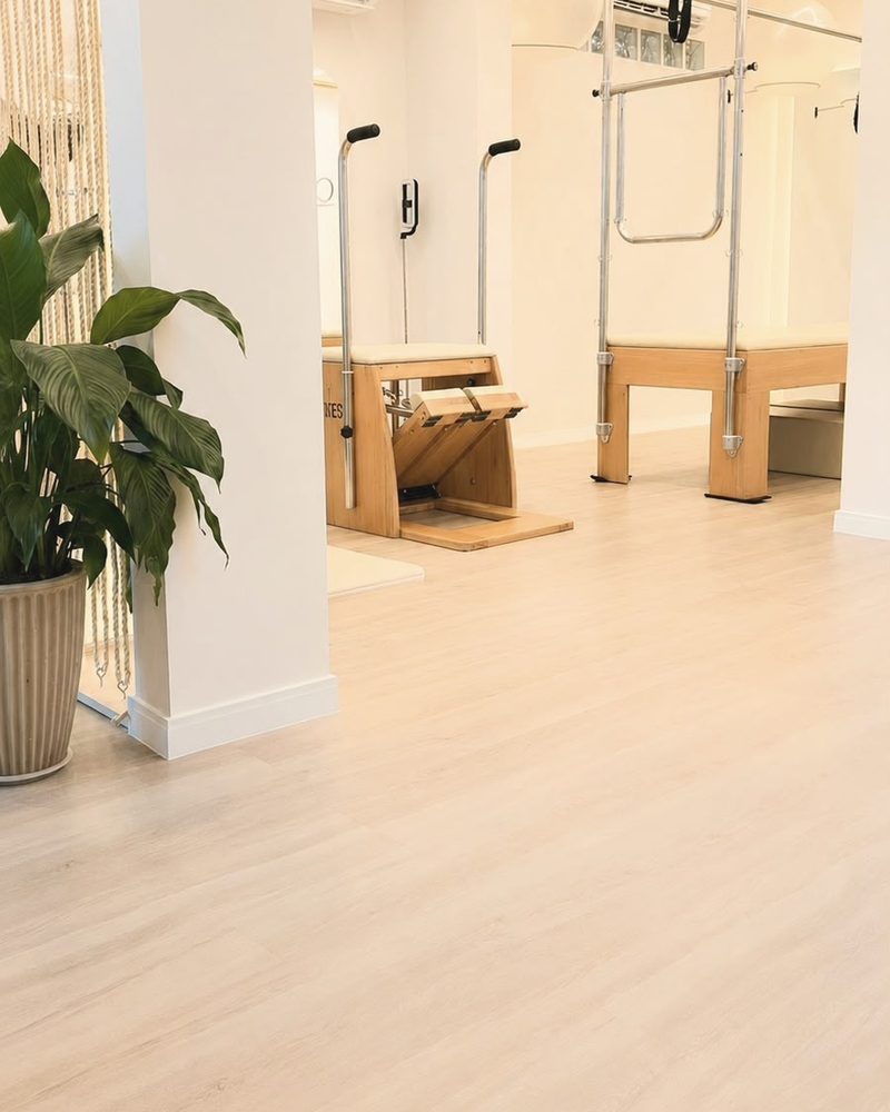 Sala de aparelhos clara, com luz natural e plantas